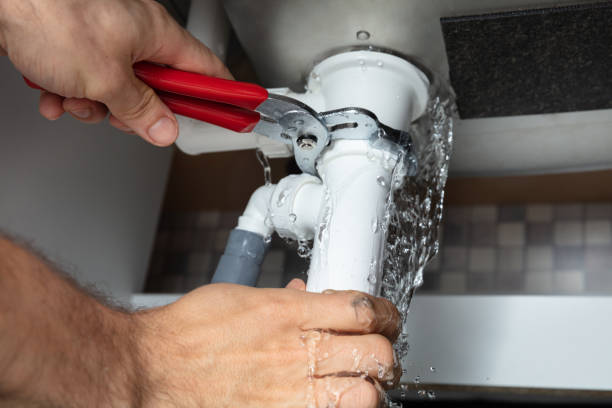 Best Flooded house restoration  in Big Rapids, MI