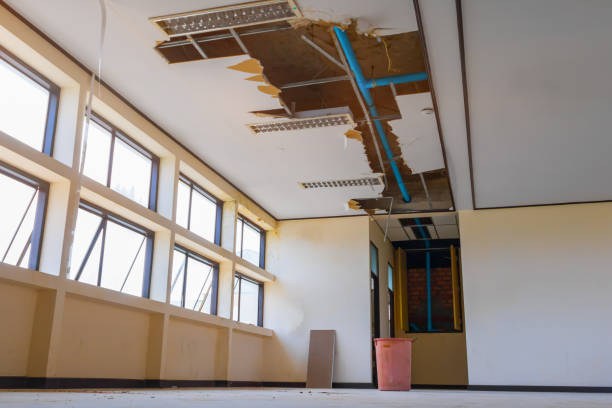 Best Carpet water damage restoration  in Big Rapids, MI