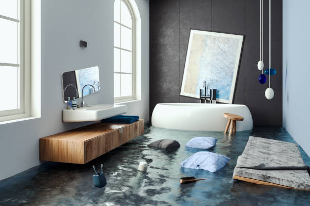  Big Rapids, MI Water damage restoration Pros