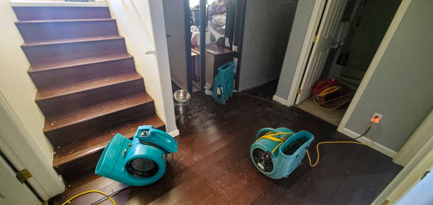 Best Water damage restoration services  in Big Rapids, MI