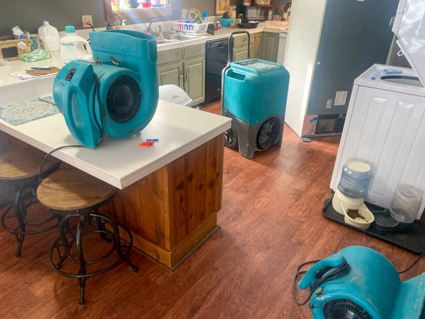 Best Water damage mitigation services  in Big Rapids, MI
