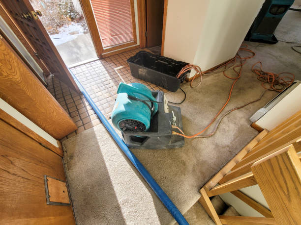 Best Water damage restoration mold remediation  in Big Rapids, MI
