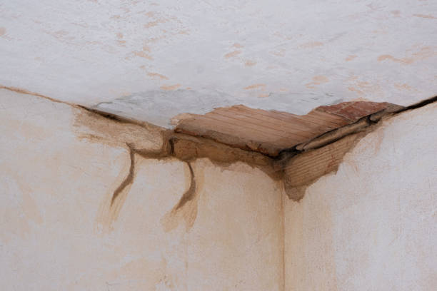 Best Mold removal after water damage  in Big Rapids, MI