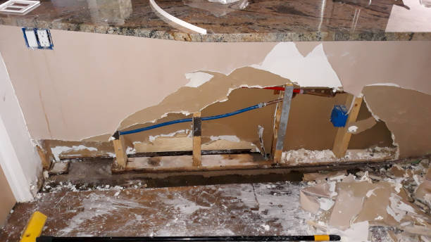 Best 24/7 water damage repair  in Big Rapids, MI