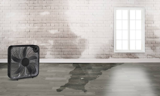 Water damage restoration mold remediation in Big Rapids, MI