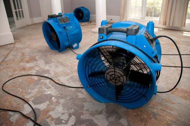 Best Basement water damage restoration  in Big Rapids, MI