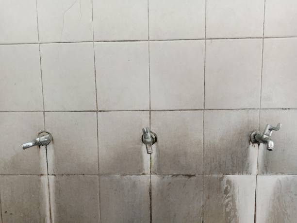 Best Water damage restoration insurance claims  in Big Rapids, MI