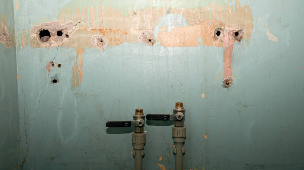 Best Emergency water damage restoration  in Big Rapids, MI