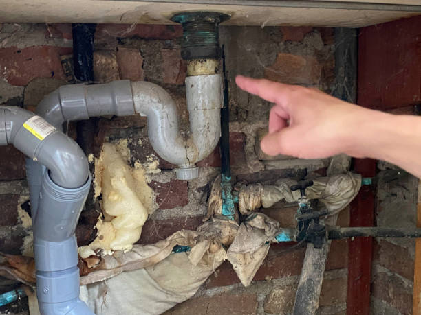 Best Professional water damage repair  in Big Rapids, MI