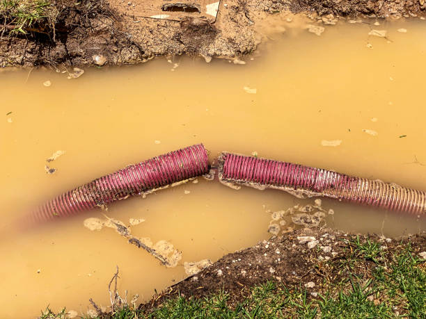 Best Flood restoration services  in Big Rapids, MI