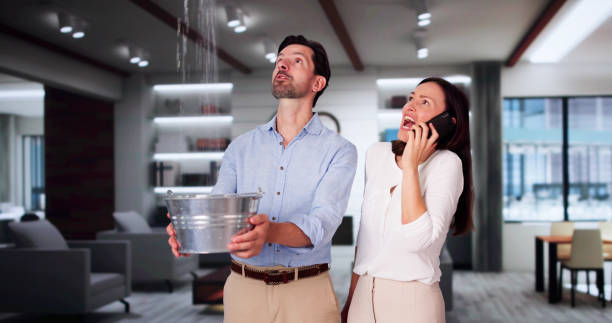 Best 24-hour water damage restoration  in Big Rapids, MI