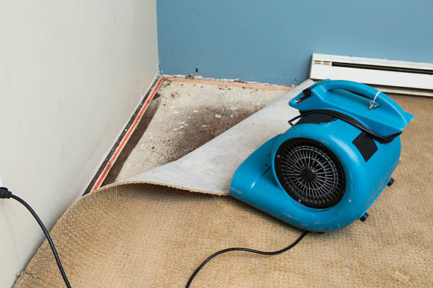 Best Sewage cleanup and water damage restoration  in Big Rapids, MI